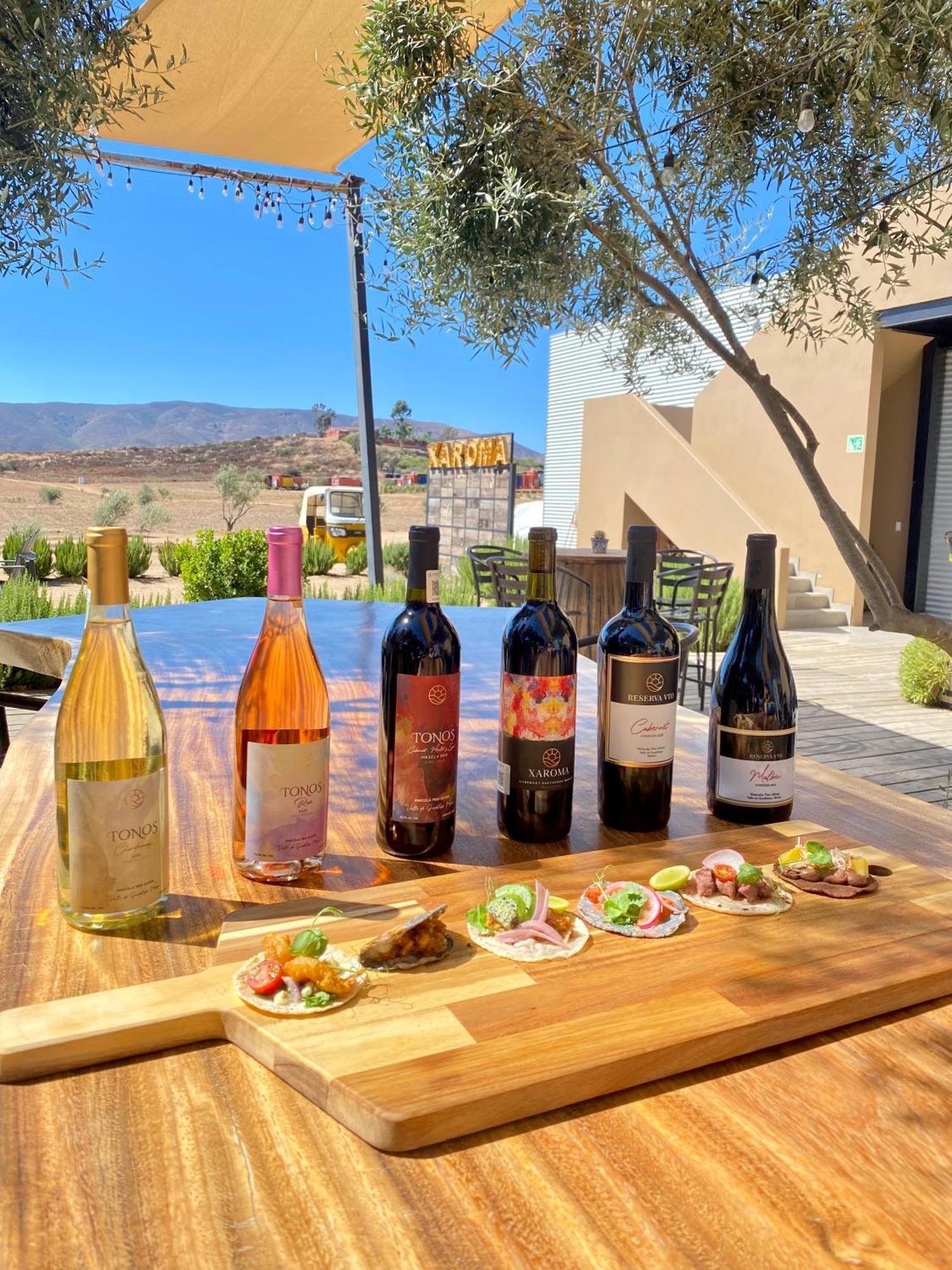 Xaroma Otel Valle de Guadalupe Dış mekan fotoğraf